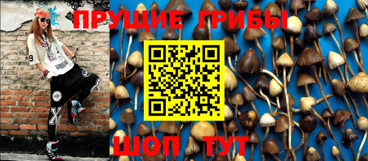 Псилоцибиновые грибы ЛСД Усть-Джегута