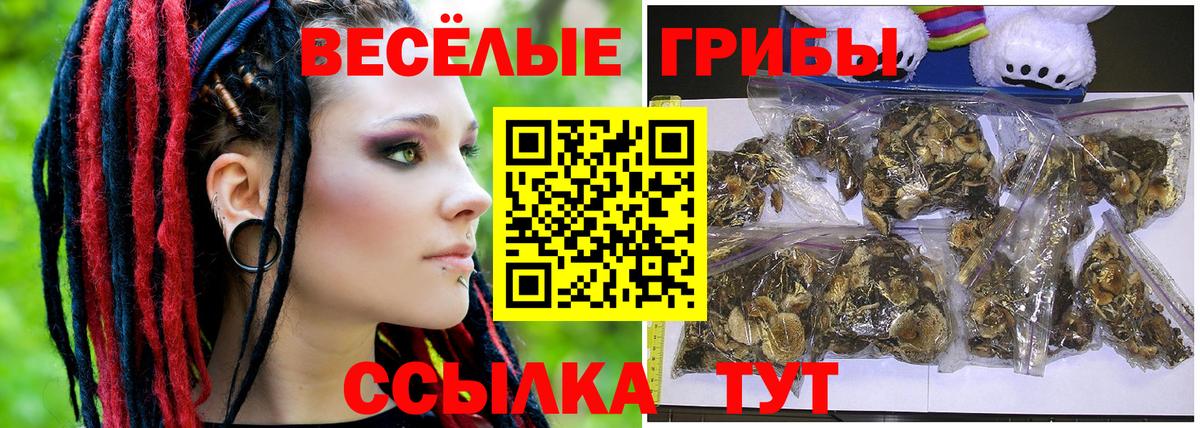 Псилоцибиновые грибы Psilocybe  Вход с VPN  Усть-Джегута 